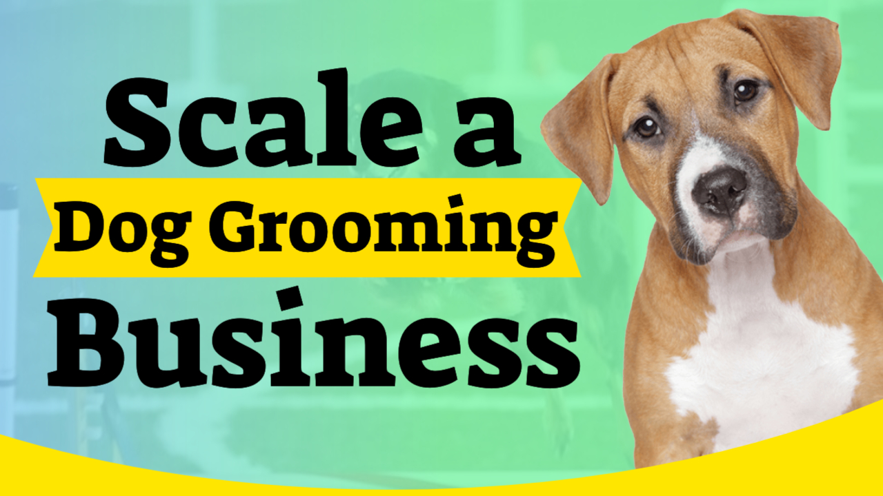 How to Start a Dog Grooming Business
