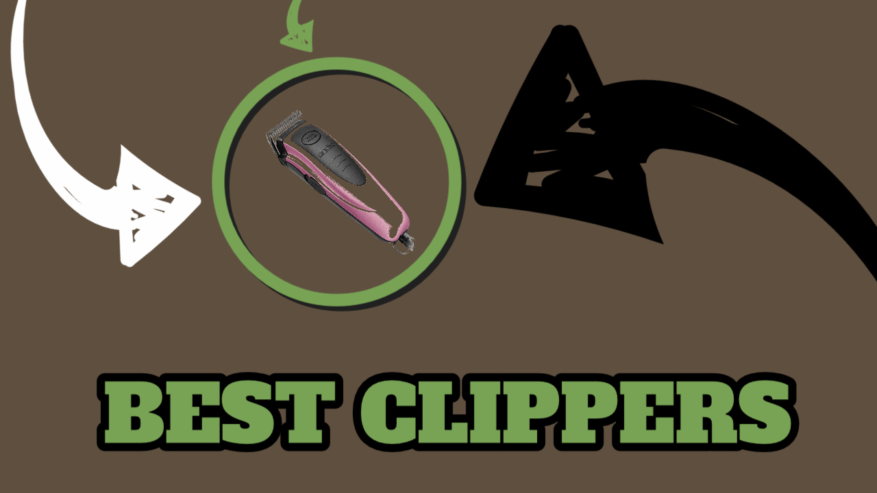 Best Dog Grooming Clippers To Use That Will Make You A Better Groomer